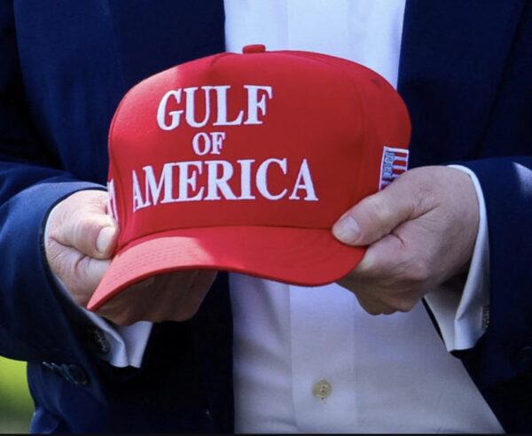 Elon Musk Gulf of America Dad Hat - Image 4