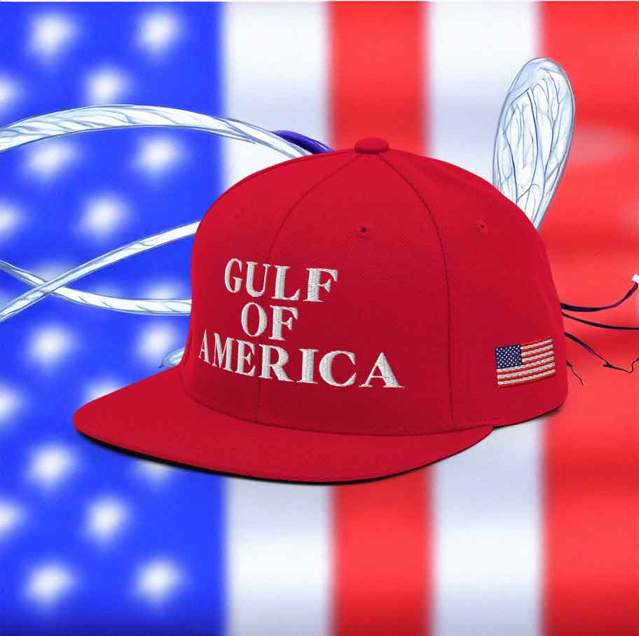 Elon Musk Gulf of America Snapback Hat