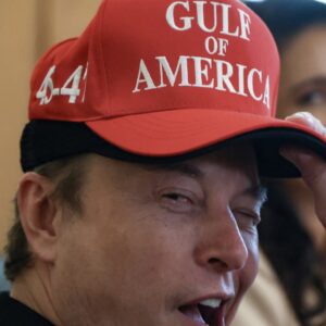 Gulf of America Elon Musk Cap